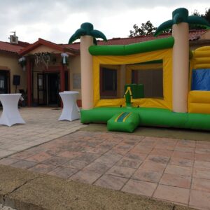 Structure gonflable en forme de palmier