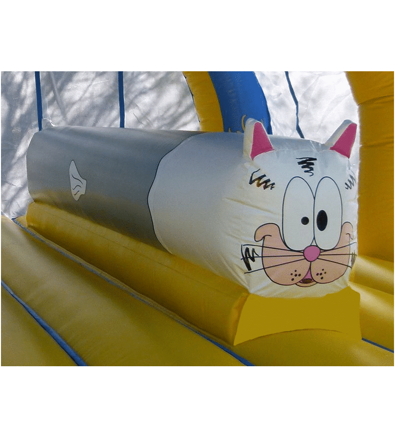 Le poisson-chat – Image 2